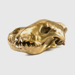 迪赛/Diesel 10892 Wunderkammer 摆件 HA0121HA000