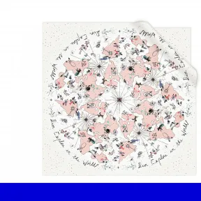 迪奥/Dior 方巾 71DEW090I632 C020