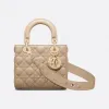 迪奥/Dior 小号 Lady Dior  My ABCDior  手袋 M0538ONGE-M116