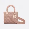 迪奥/Dior 小码 Lady Dior  My ABCDior  手袋 M0538ONGE-M50P