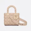 迪奥/Dior 小号 Lady Dior  My ABCDior  手袋 M0538ONGE-M50U