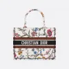 迪奥/Dior 中号 Book Tote 手袋 M1296ZEAU-M933