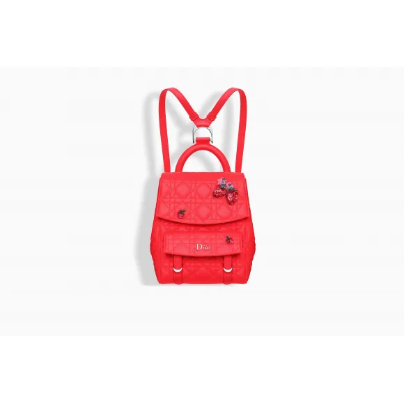 迪奥/Dior  Stardust 珊瑚色小牛皮背包 M1505POPF M057