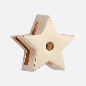 迪奥/Dior My ABCDior 星星徽章 浅金色饰面金属 S9219OMET_M196_TU