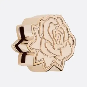 迪奥/Dior My ABCDior  花朵徽章 S9468OMET-M196