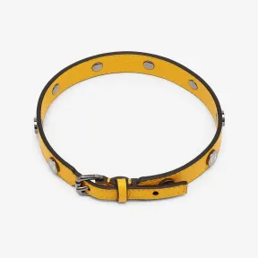 芬迪/Fendi 宠物项圈-黄色皮革项圈-男士宠物配件 8AC023ADYWF01K9 8054321527267