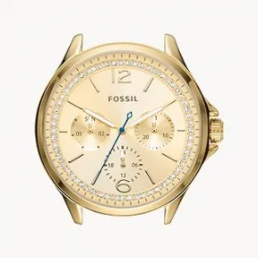 化石/Fossil 表壳 C181030