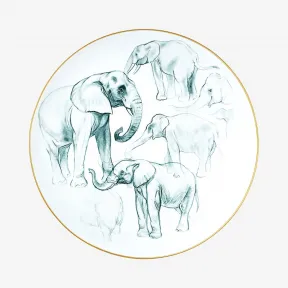 爱马仕/Hermes “赤道丛林”深圆盘 P038052P