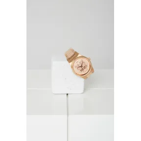 凯卓/Kenzo 配件 老虎手表 L46WA9600205.XX.TU