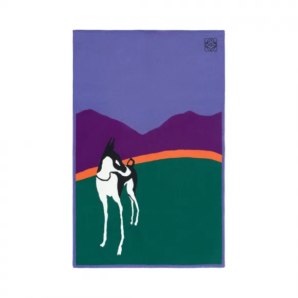 罗意威/Loewe Lost Dog Towel 多色拼接 616.16.J01