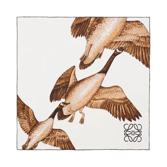 罗意威/Loewe Duck Scarf 90x90 White/brown 916.16.016