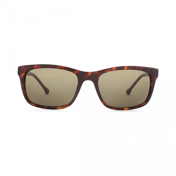 罗意威/Loewe Apollon Sunglasses Dark Havana SLW941