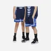 耐克/Nike 大童加绒透气篮球短裤 FB1065410