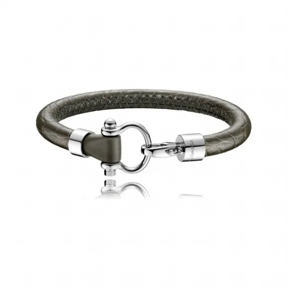 欧米茄/Omega 欧米茄Aqua系列 BA05CU0000103