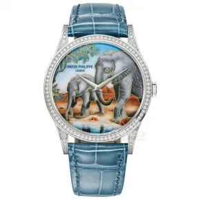 百达翡丽/Patek Philippe 珍稀工艺    中性 5077-100G-047