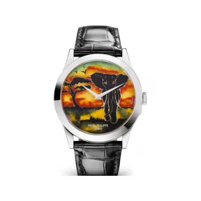 百达翡丽/Patek Philippe 珍稀工艺系列 38.6MM 18k白金 自动机械 男表 5089G-079