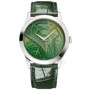 百达翡丽/Patek Philippe 珍稀工艺    女表 5089G-109