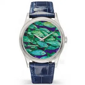 百达翡丽/Patek Philippe 珍稀工艺    中性 5177-028