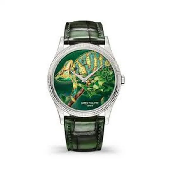 百达翡丽/Patek Philippe 珍稀工艺    女表 5177G-026