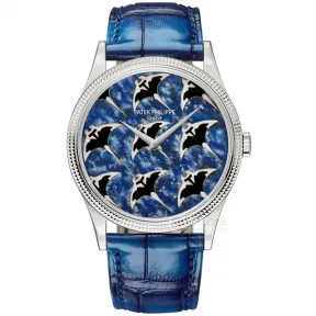 百达翡丽/Patek Philippe 珍稀工艺   自动机械 男表 5177G-035