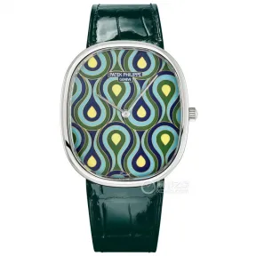 百达翡丽/Patek Philippe 珍稀工艺    中性 5738-50G-016