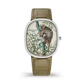 百达翡丽/Patek Philippe 珍稀工艺    女表 5738-50G-019