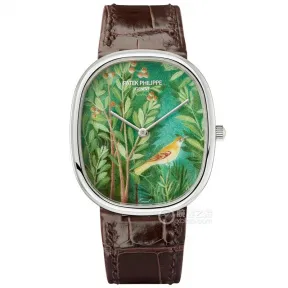 百达翡丽/Patek Philippe 珍稀工艺    中性 5738-50G-022