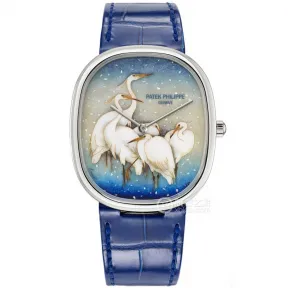 百达翡丽/Patek Philippe 珍稀工艺  18k白金 自动机械 女表 5738-50G-026