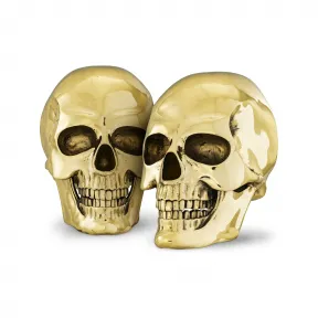 菲利普·普莱因/Philipp Plein 金色骷髅墙元素 2 件套 116489-16-4-0