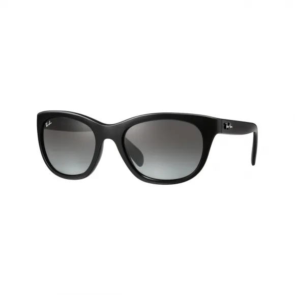 雷朋/Ray-Ban RB4216 搭 黑色 的 灰色 太阳眼镜 RB4216-601-11-56-20