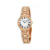 雷蒙威/Raymond Weil Jasmine 29 MM 不锈钢 石英机芯 女表 5229-P5-01659