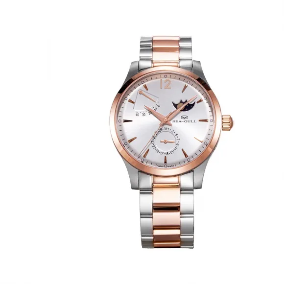 海鸥/Seagull 多功能系列 41mm 精钢 自动机械机芯 男表 217.423