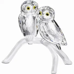 施华洛世奇/Swarovski 摆件 猫头鹰 1003312