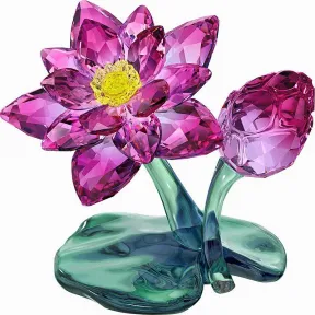 施华洛世奇/Swarovski 摆件 睡莲 5275716