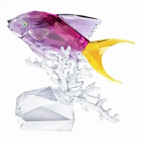 施华洛世奇/Swarovski 摆件 花鮨 5428651