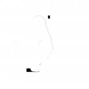 施华洛世奇/Swarovski Chubby Cats 粉红猫 5658317