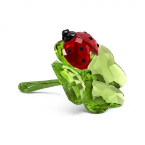 施华洛世奇/Swarovski Idyllia 瓢虫与幸运草 5666852
