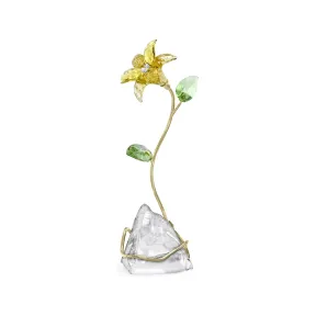 施华洛世奇/Swarovski Florere 百合 5666972