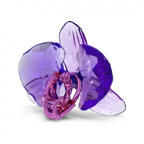 施华洛世奇/Swarovski Idyllia SCS 兰花 5669354