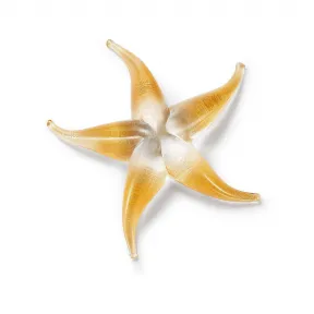 蒂芙尼/Tiffany Elsa Peretti® 海星采用手工口吹威尼斯玻璃制成。 16517747 