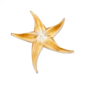 蒂芙尼/Tiffany Elsa Peretti® 海星采用手工口吹威尼斯玻璃制成。 17754998 