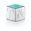 蒂芙尼/Tiffany Everyday Objects 纯银台球杆和粉笔架 66942139