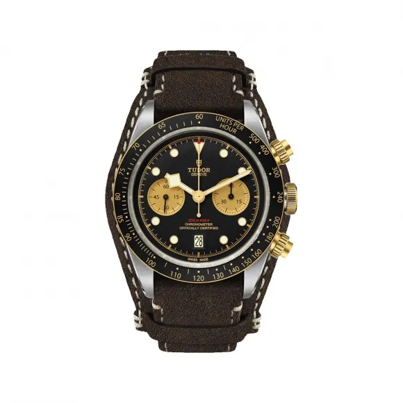 帝舵/Tudor 碧湾系列   M79363N-0002