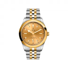 帝舵/Tudor 碧湾型 41MM 磨光及磨砂钢 自动机械机芯 男表 M79683-0008