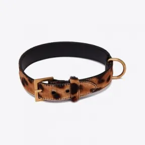 伊夫圣罗兰/Yves Saint laurent 仿马皮狗项圈 59347401D0W2094