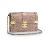 路易威登/Louis Vuitton(LV) TRUNK 链条包 N98134
