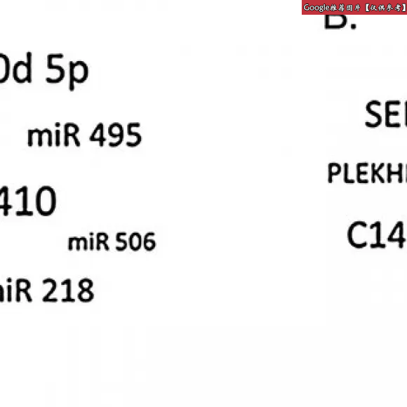 卡地亚/Cartier Antique piece 晚装包 Antique pieces evening bag HSA00740