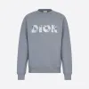 迪奥/Dior 灰色 Molton 棉质卫衣搭配 DIOR AND DANIEL ARSHAM 褪色 3D 徽标印花 023J604A0531-C888