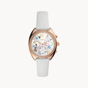 化石/Fossil 手表 BQ3789