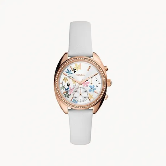 化石/Fossil 手表 BQ3789